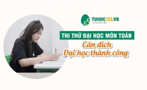 thi-thu-dai-hoc-mon-toan-2024-cung-tuhoc123vn