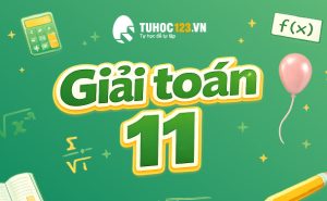 giai-toan11 (1)